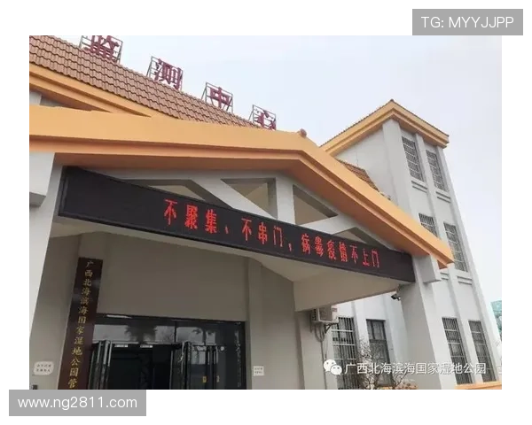 北海新闻综合频道高清直播实时在线观看